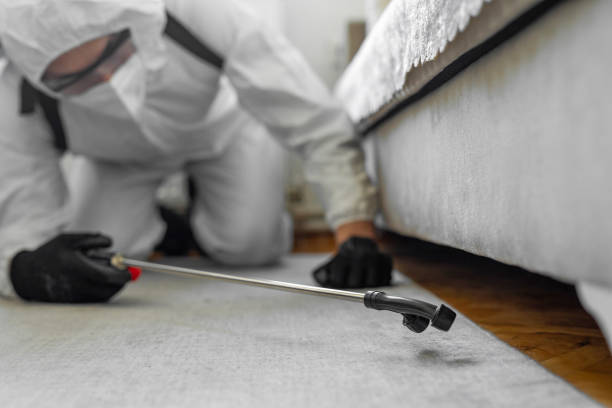 Professional Termite Control technician working in Eureka, KS
