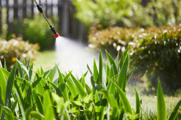 24/7 Emergency Termite Control experts in Eureka, KS
