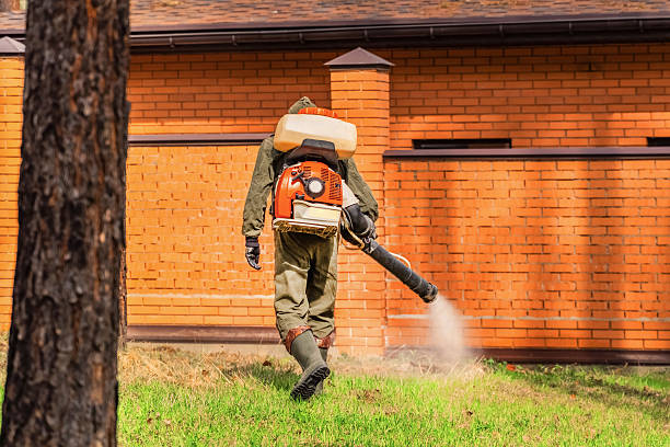 Top rated local Termite Control specialists in Eureka, KS